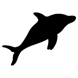 coomera pod dolphin